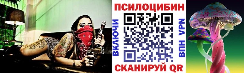 Псилоцибиновые грибы Psilocybine cubensis  Александровск-Сахалинский 